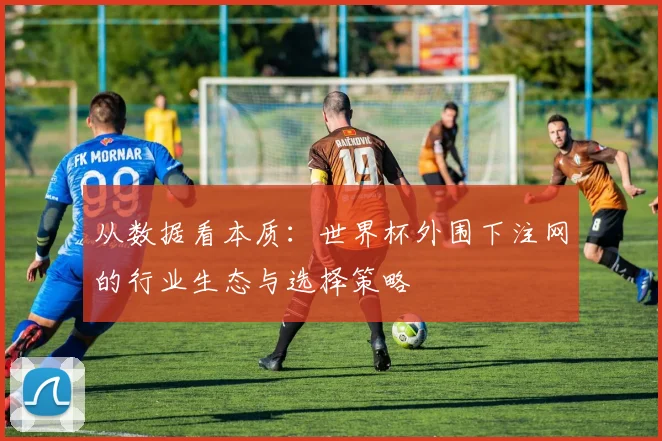 从数据看本质:世界杯外围下注网的行业生态与选择策略