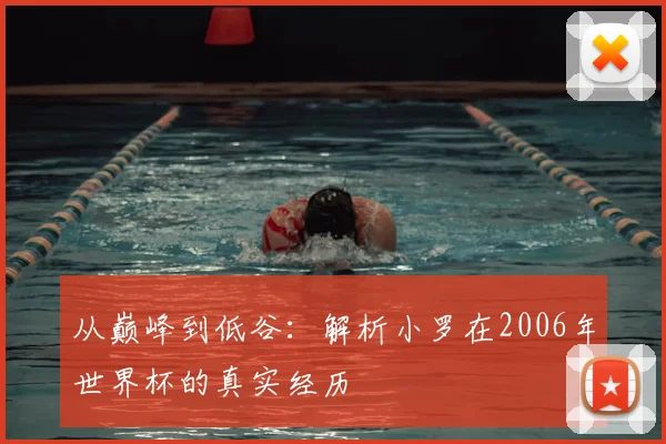 从巅峰到低谷：解析小罗在2006年世界杯的真实经历