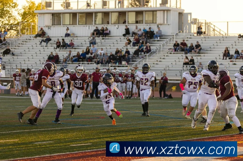 leyu体育官网平台生态图